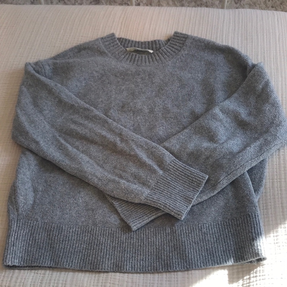 Everlane the Cocoon Crew in Plush Cotton